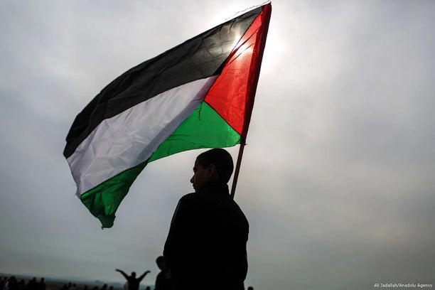 Editorials per Palestina. Declaració de solidaritat
